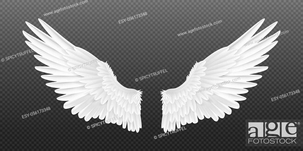 Realistic angel wings. White isolated pair of falcon wings, 3D bird wings  design template, Stock Vector, Vector And Low Budget Royalty Free Image.  Pic. ESY-056173348 | agefotostock