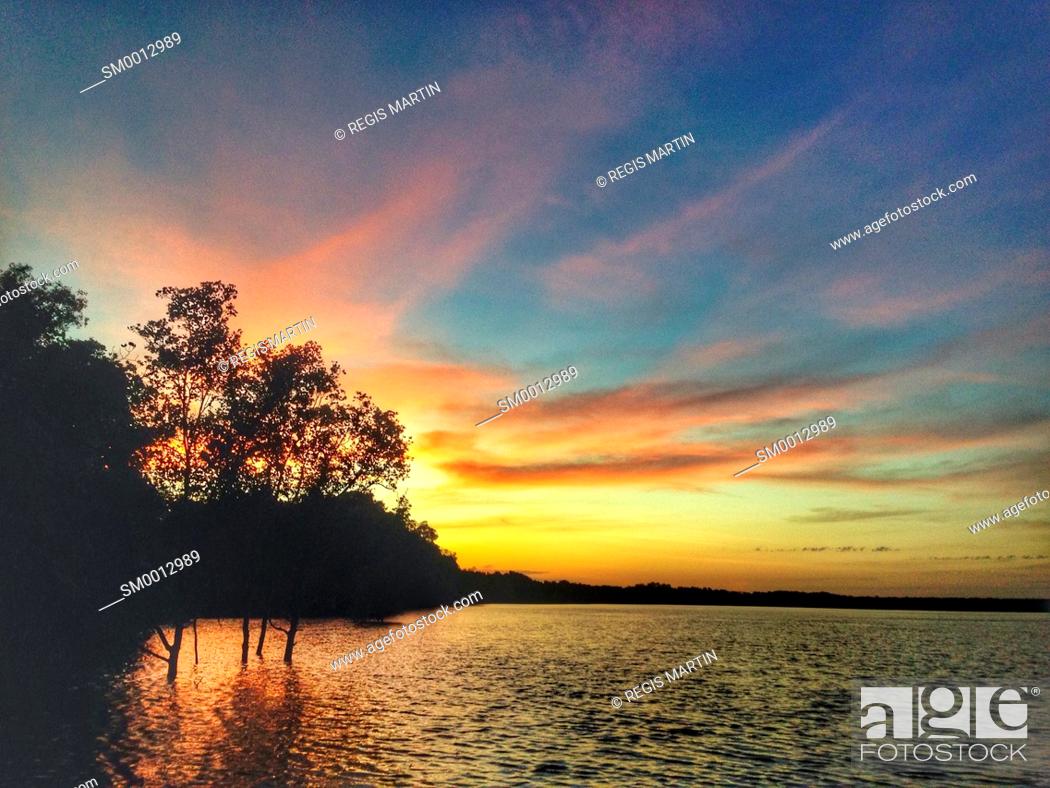 Stock Photo: Sunrise over the Mangrove. Darwin, Northern Territory, Australia.