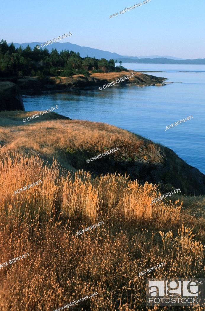 Stock Photo: Gulf Islands, Hornby Island, Helliwell Park, British Columbia, Canada.