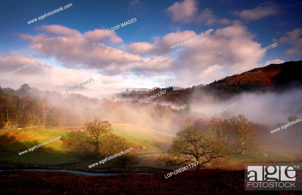 Stock Photo: Misty trees in the early morning above Rydal Water in the Lake District.