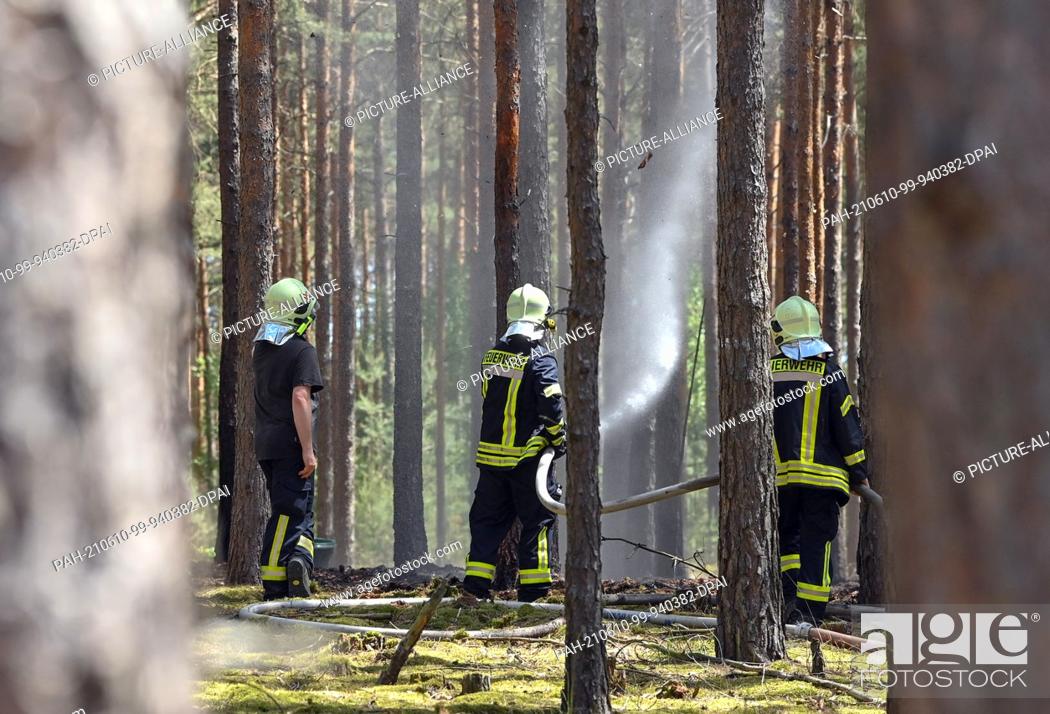 Stock Photo: 09 June 2021, Brandenburg, Wünsdorf: Comrades of the volunteer fire brigade extinguish the last pockets of embers in a small fire in a pine forest near Wünsdorf.