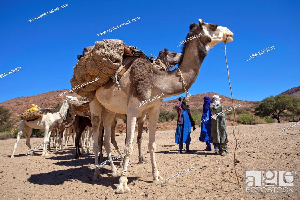 Stock Photo: Niger, Agadez region, Aïr Mountains, Elmeki village.