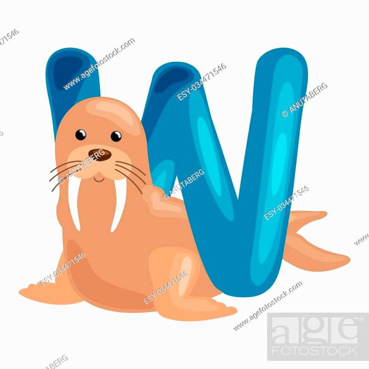 walrus animal and letter W for kids abc education in preschool, Stock  Vector, Vector And Low Budget Royalty Free Image. Pic. ESY-034471546 |  agefotostock