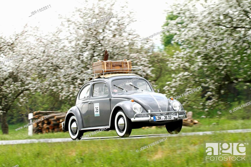 Stock Photo: VW Beetle with skis and luggage on the roof, built in 1961, Classic Car Rally 2010 Wetzlar, Hesse, Germany, Europe.
