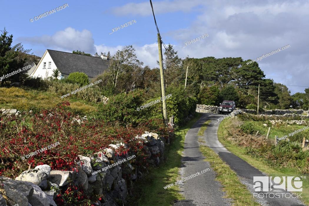 Stock Photo: country road, Lettermore island, west coast, County of Galway, Connemara, Republic of Ireland, North-western Europe.
