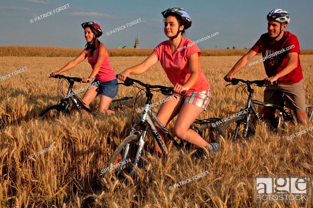 Stock Photo: BICYCLE TOURISTS IN A WHEAT FIELD NEAR THE CHARTRES CATHEDRAL, EURE-ET-LOIR 28, FRANCE.