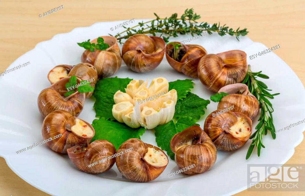 Stock Photo: Escargot with rosemary, thyme, garlik and melissa.