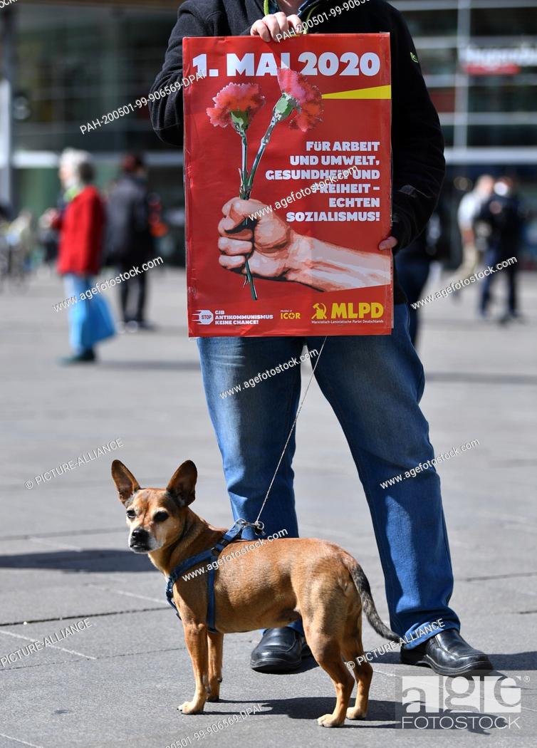 Stock Photo: 01 May 2020, Thuringia, Erfurt: Joachim Struzyna demonstrates for the MLPD with a poster for May 1 on the Anger. The Corona pandemic determines the traditional.