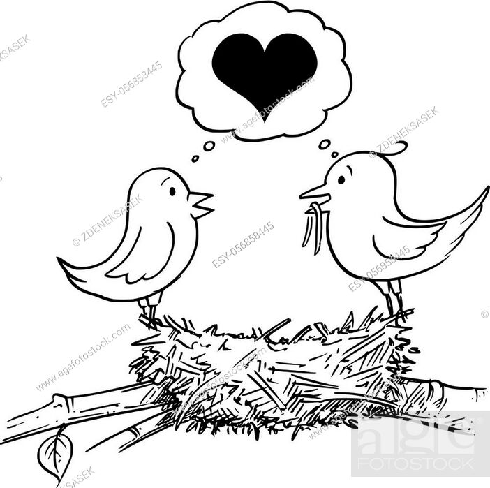 Vector cartoon drawing conceptual illustration of loving couple of male and  female birds in love..., Stock Vector, Vector And Low Budget Royalty Free  Image. Pic. ESY-056858445 | agefotostock