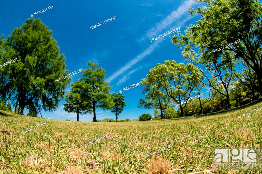 Stock Photo: Fresh Green Park and Blue Sky.