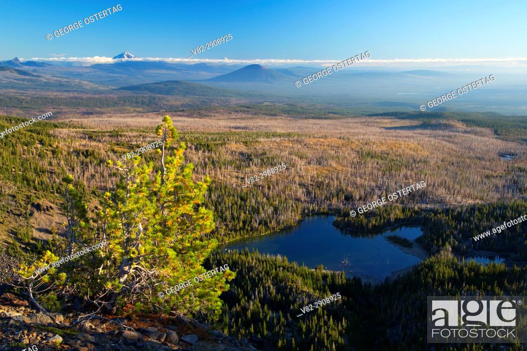 Stock Photo: Whitebark pine with Little Three Creek Lake from Tam McArthur Rim Trail, Three Sisters Wilderness, Deschutes National Forest, Oregon.