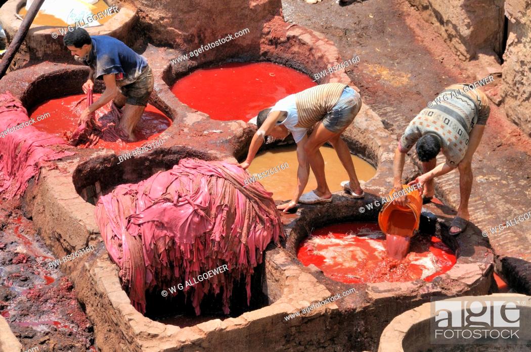 Stock Photo: men dyeing leather in troughs of tanners' and dyers' quarter chouwara, Morocco, Fes.