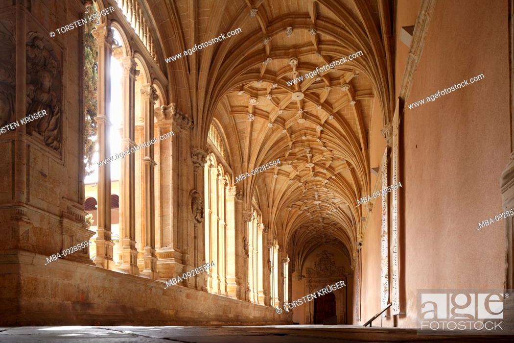 Imagen: Cloister, San Esteban church and convent, San Esteban Convent, Salamanca, Castilla y León, Spain, Europe.
