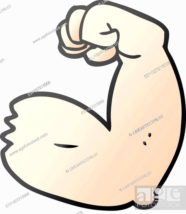 freehand drawn cartoon strong arm flexing bicep, Stock Vector, Vector And  Low Budget Royalty Free Image. Pic. ESY-027215008 | agefotostock