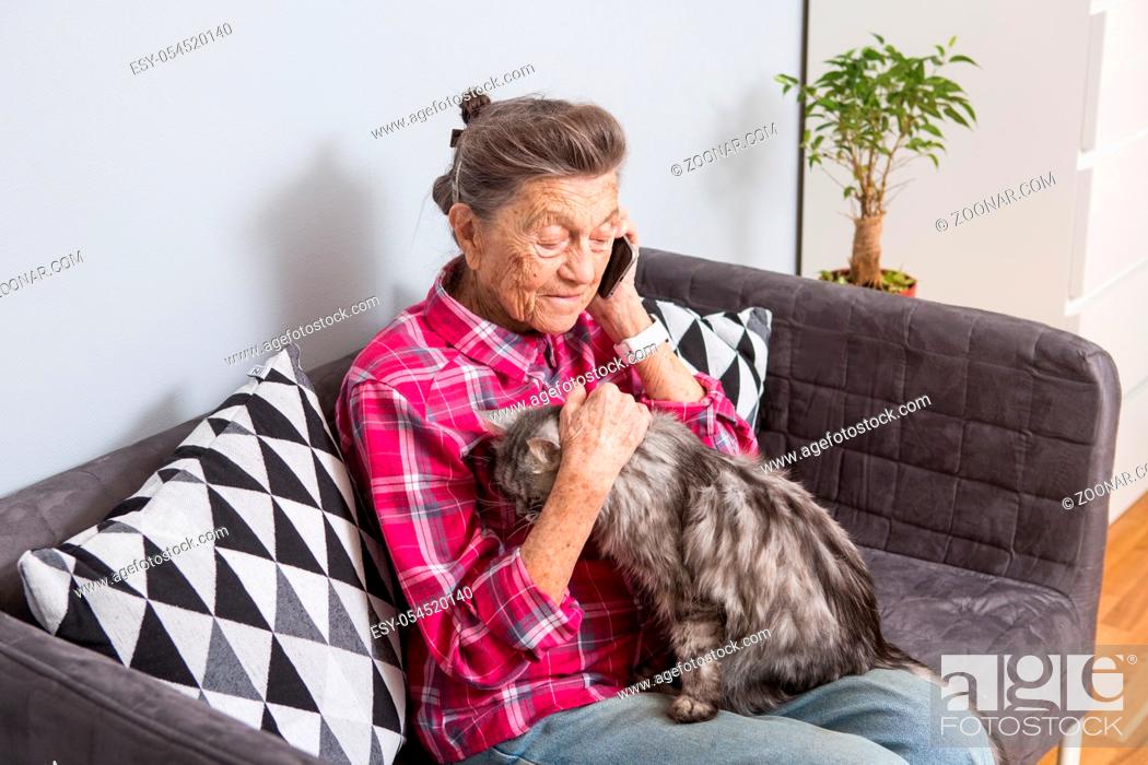Stock Photo: Theme old person uses technology. Mature contented joy smile active gray hair Caucasian wrinkles woman sitting home living room on sofa with fluffy cat using.