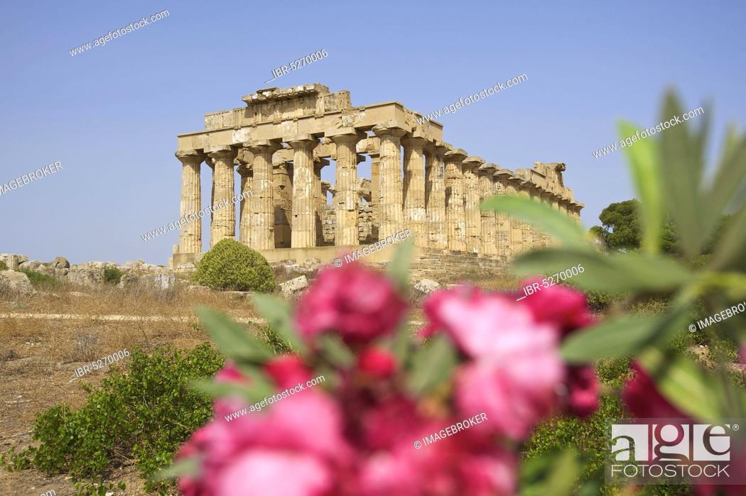 Stock Photo: Temple E, Temple of Hera, Selinunte, Province of Trabant, Sicily, Italy, Europe.