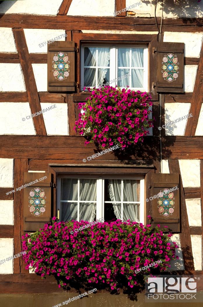 Flower Box Brimming With Petunia In A Window Of Half Timbered House Baden Wuerttemberg Stock Photo Picture And Low Budget Royalty Free Image Pic Esy 006438796 Agefotostock