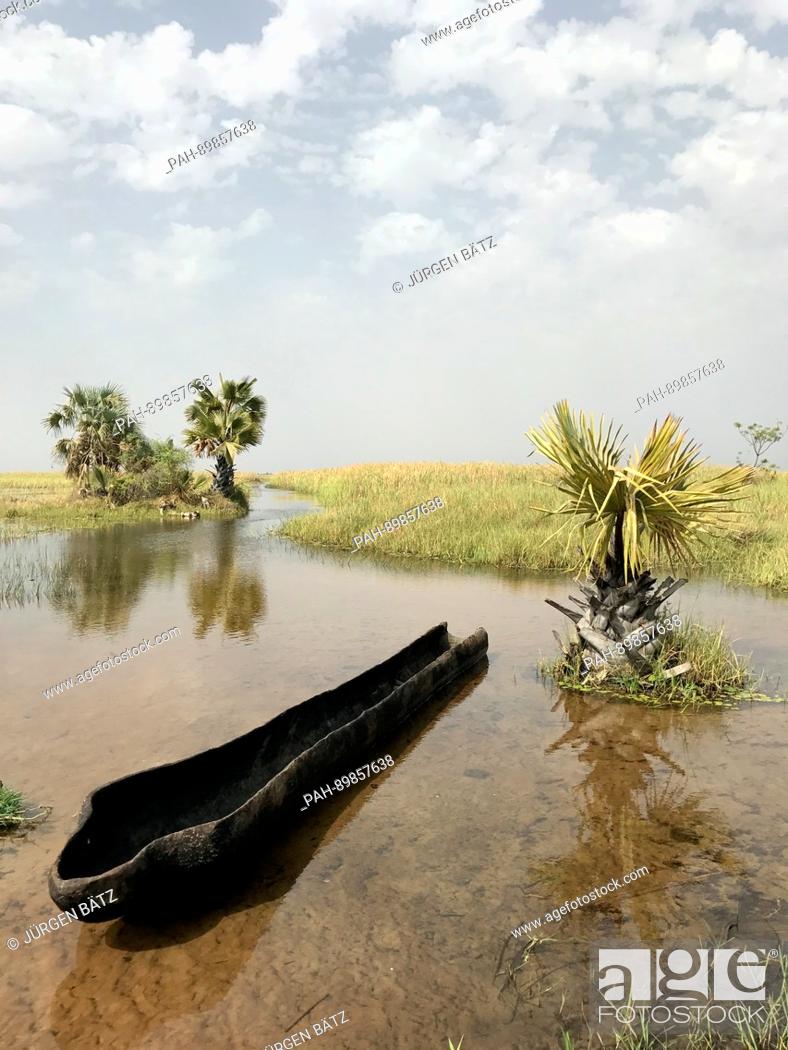 Stock Photo: A dugout canoe seen in the swamps of the White Nile river near Nyal, South Sudan, 28 March 2017. The area is located in the South Sudanese state of Unity.