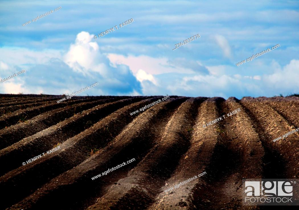 Stock Photo: Agriculture in Lasser Poland.