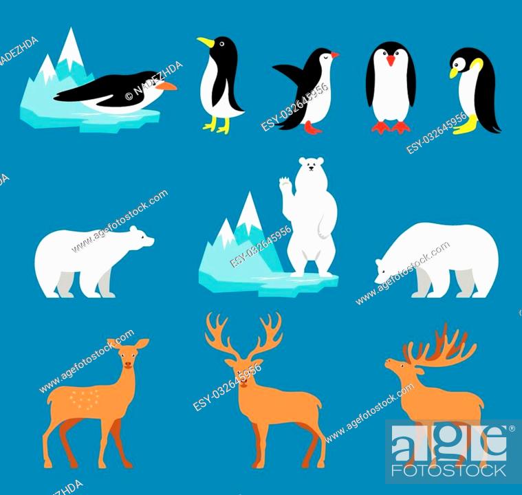 Vector set Arctic and Antarctic animals. Penguin, polar bear, reindeer,  Stock Vector, Vector And Low Budget Royalty Free Image. Pic. ESY-032645956  | agefotostock