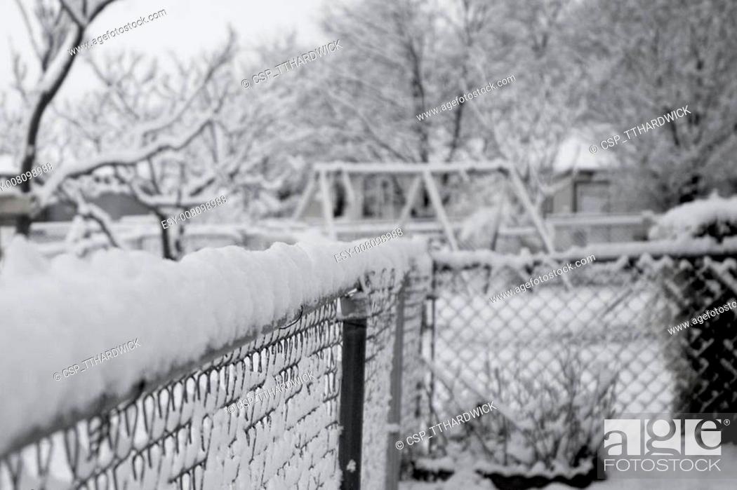 Stock Photo: Snow.