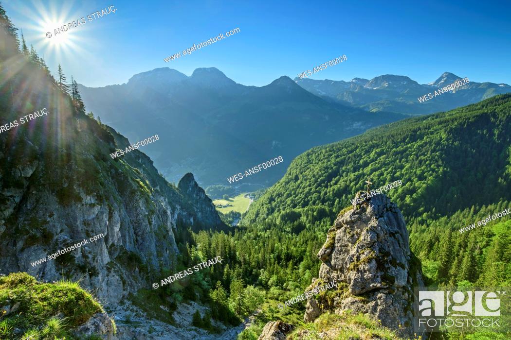 Stock Photo: Growth of green trees on mountains against clear sky.