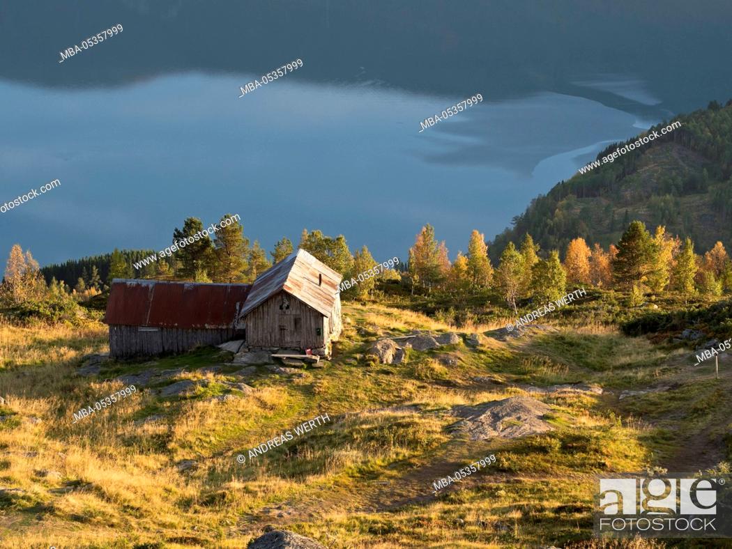 Stock Photo: View from mount Molden, over the Lustrafjord, inner branch of Sognefjord, Mount Molden, Lustrafjord, Sogn og Fjordane, Norway.