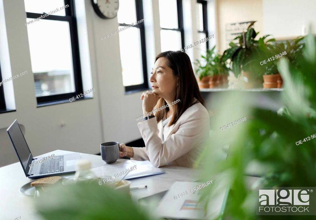 Stock Photo: Focused businesswoman working at laptop in office with plants.