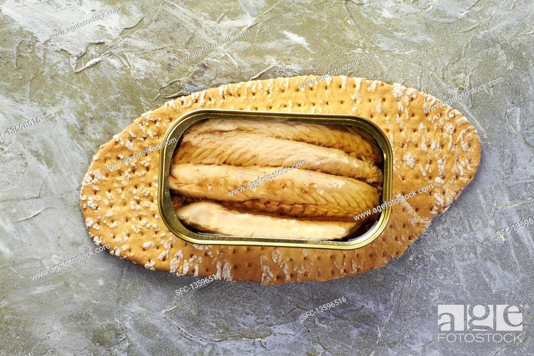 Stock Photo: Tinned mackerel preserved in oil on bread.