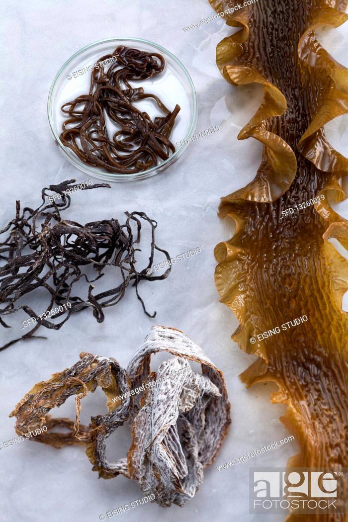 Stock Photo: Sea spaghetti (left and top) and kombu (right and bottom).