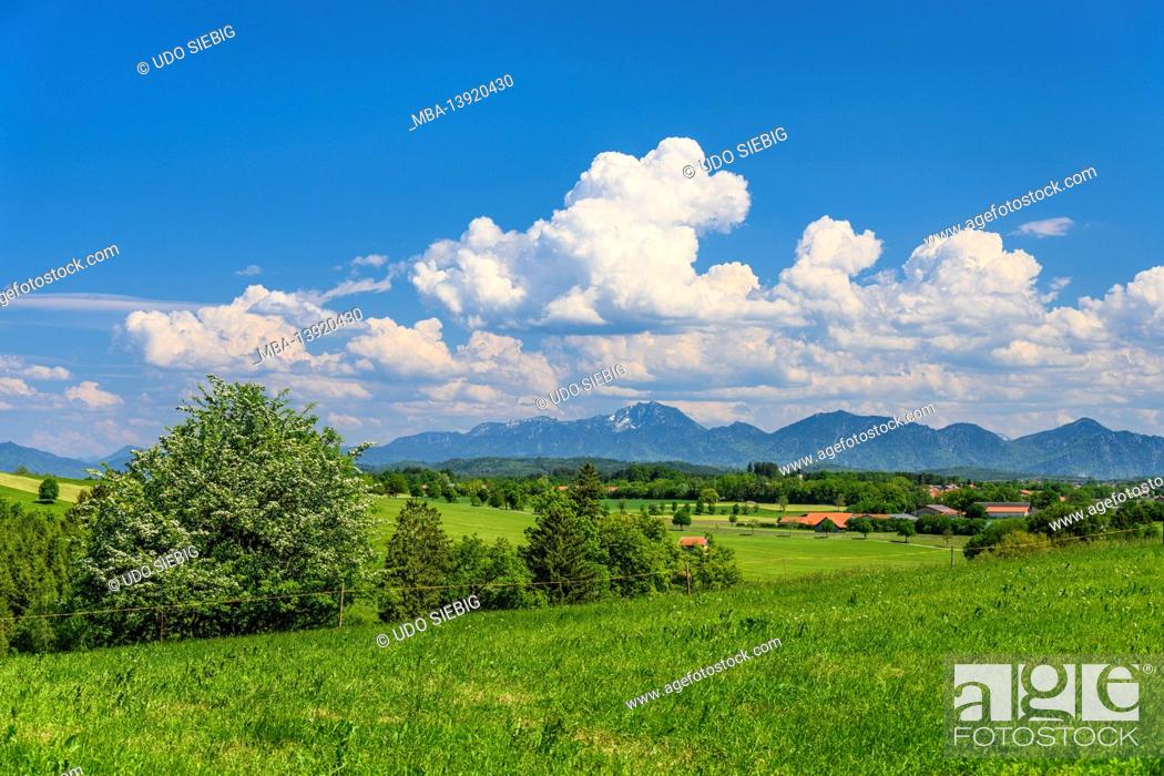 Stock Photo: Germany, Bavaria, Upper Bavaria, Pfaffenwinkel, Eglfing, spring landscape with Obereglfing against the foothills of the Alps, view from the northwest.