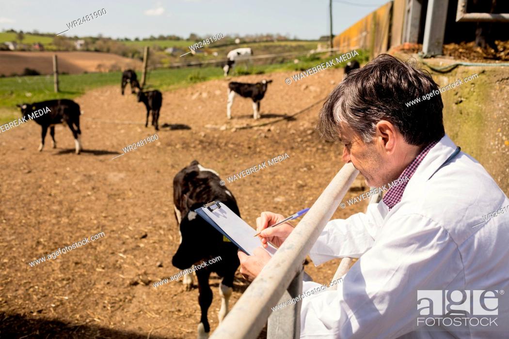 Stock Photo: Vet writing in clipboard by fence.