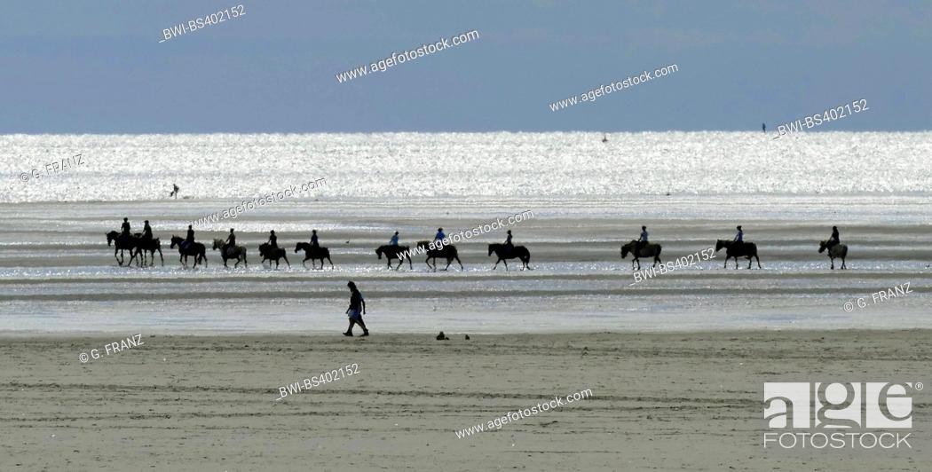 Stock Photo: equestrian group on the beach in backlight, Germany, Schleswig-Holstein, Northern Frisia, Sankt Peter-Ording.