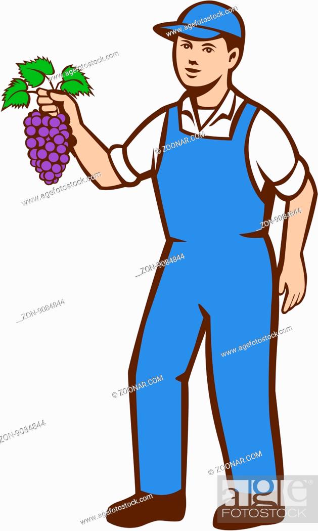 Stock Photo: Illustration of an organic farmer boy wearing hat standing holding grapes viewed from the front set on isolated white background done in retro style.