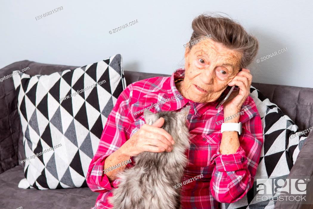 Stock Photo: Theme old person uses technology. Mature contented joy smile active gray hair Caucasian wrinkles woman sitting home living room on sofa with fluffy cat using.