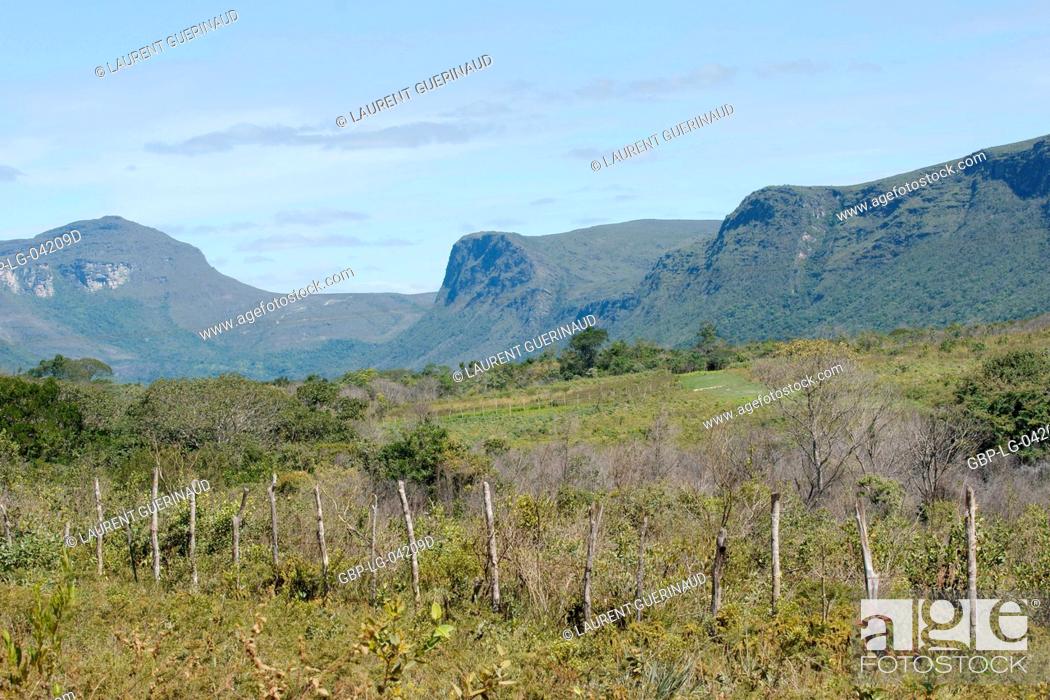 Stock Photo: Landscape, Vale do Capão, Chapada Diamantina, Bahia, Brazil.