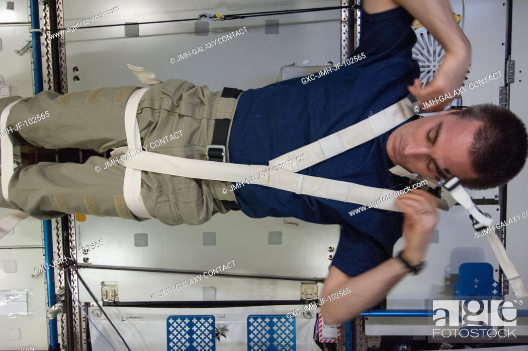 Stock Photo: In the Destiny lab aboard the International Space Station, NASA astronaut Chris Cassidy, Expedition 36 flight engineer, participates in a Crew Medical Restraint.