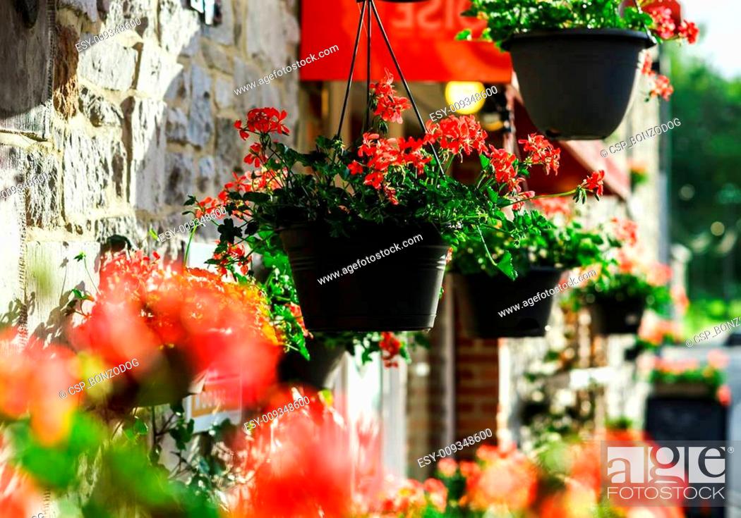 Photo de stock: Flower pots hanging at cafe entrance.