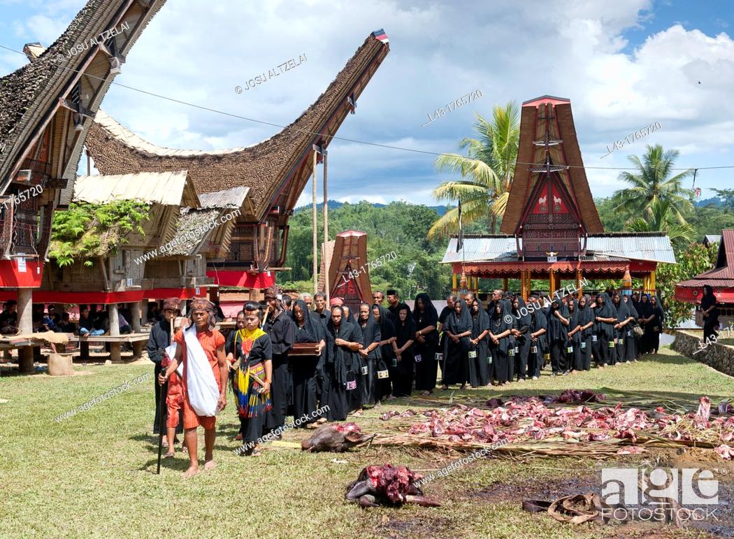 Photo de stock: traditional funeral ceremony in Tana toraja, sulawesi, indonesia.