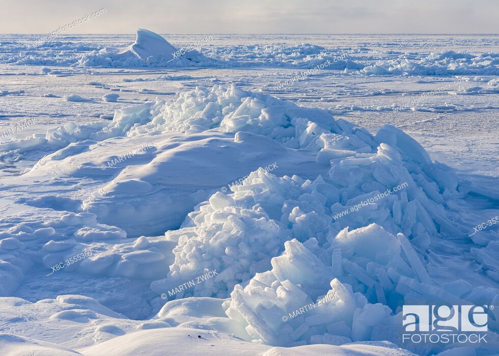 Photo de stock: Ice floes at shore of frozen Disko Bay. Disko Bay during winter, West Greenland. America, North America, Greenland, Denmark.