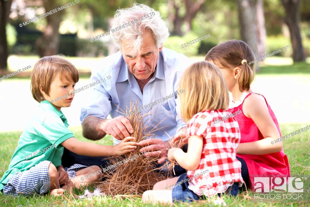 Imagen: Grandfather Teaching Grandchildren To Build Camp Fire.
