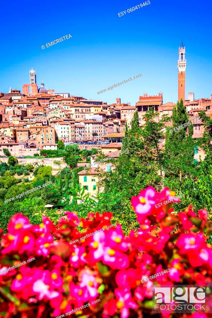 Photo de stock: Siena, Italy. Summer scenery of Siena, a beautiful medieval town in Tuscany, with view of the Dome & Bell Tower of Siena Cathedral and landmark Mangia Tower.