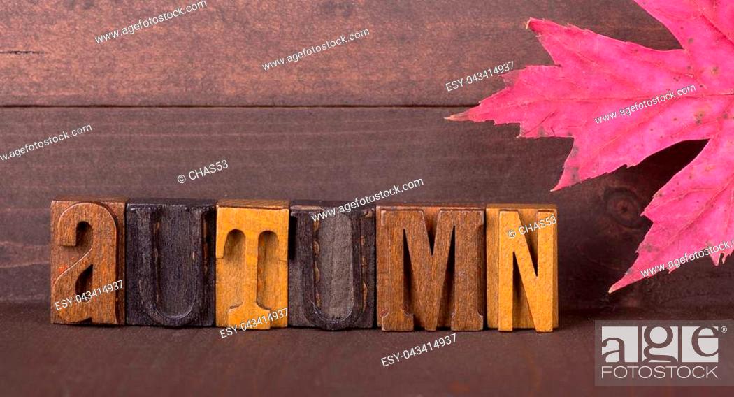 Stock Photo: Autumn spelled with wood lettering with a red maple leaf on a wooden background.