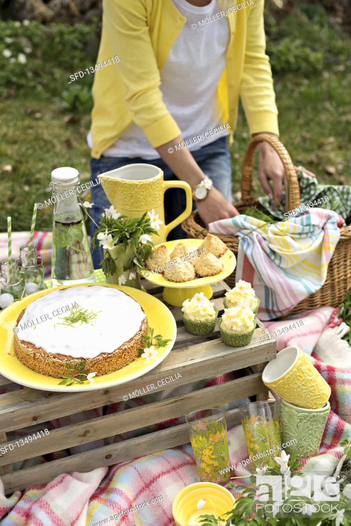 Stock Photo: Spring picnic with cakes and biscuits.