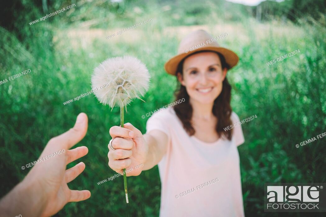 Stock Photo: Man's hand receiving blowball from woman, close-up.
