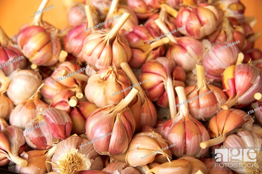 Stock Photo: Garlic, Marrakech, Morocco.