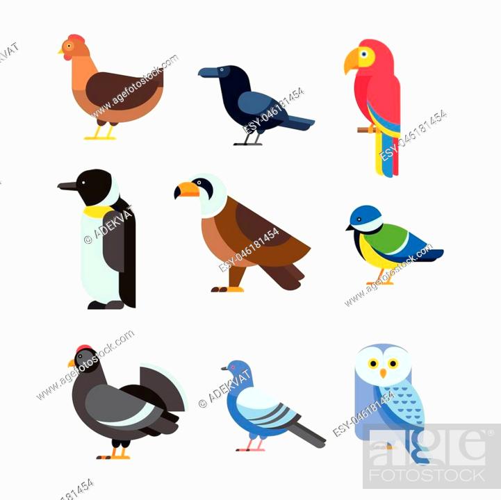 Birds vector set. Colorful wildlife nature collection. Cartoon wing flying  animal cute drawing..., Stock Vector, Vector And Low Budget Royalty Free  Image. Pic. ESY-046181454 | agefotostock
