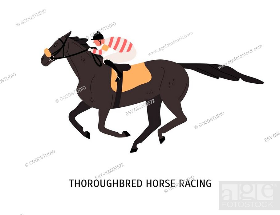 Thoroughbred horse racing flat vector illustration. Sportsman riding on  hoss cartoon character, Stock Vector, Vector And Low Budget Royalty Free  Image. Pic. ESY-056000572 | agefotostock