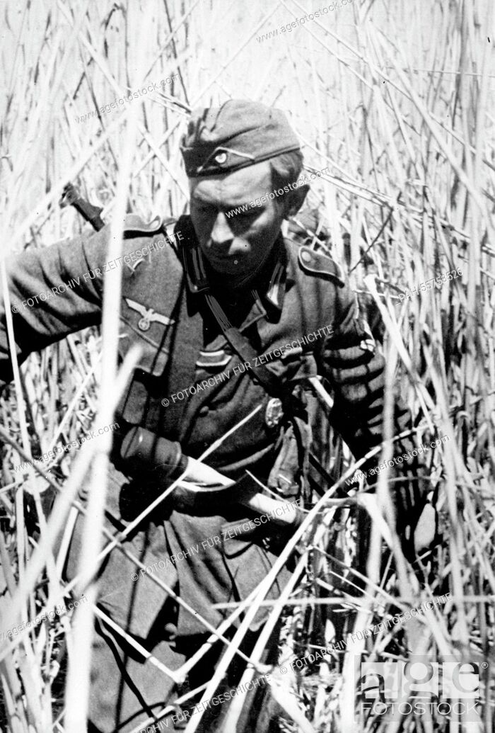 The Nazi propaganda picture shows a soldier of the German Wehrmacht in Kuban bridgehead lagoons on..., Stock Photo, Picture And Rights Managed Image. Pic. PAH-55753526 | agefotostock