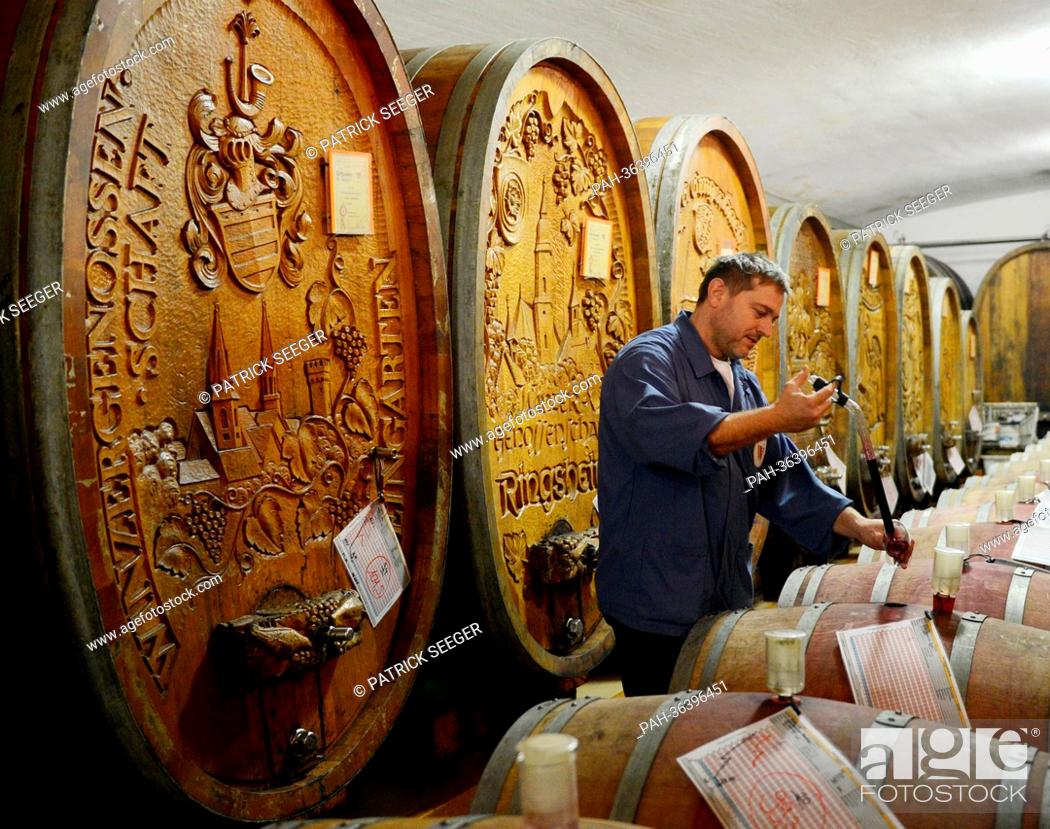 Stock Photo: Cellarer Joerg Wiedemann fills wine into a glass from a barrel of wine in the wine cellar of the winery Badische Winzerei in Breisaach, Germany, 21 January 2013.